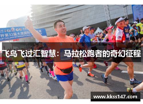 飞鸟飞过汇智慧：马拉松跑者的奇幻征程
